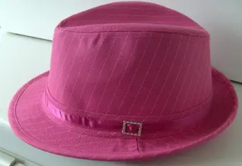 HOED FUCHSIA KRIJTSTREEP CARNAVAL 2 STUKS STOER / FEEST