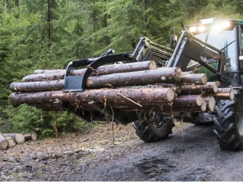 Kellfri Houtklem houtgrijper bomenklem frontlader hydraulisch