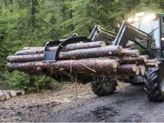 Kellfri Houtklem houtgrijper bomenklem frontlader hydraulisch