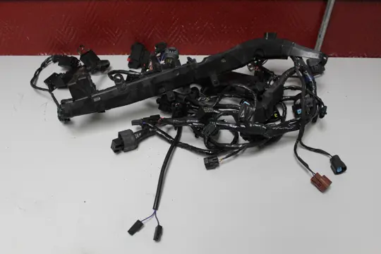 KABELBOOM Triumph 675 Street Triple R 2013 - 2016