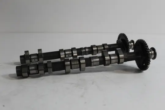 NOKKENAS Triumph Sprint ST 955 1999 - 2005