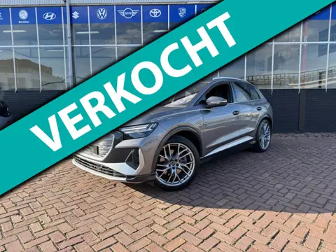 Audi Q4 e-tron 40 Launch Edition S-Line Competition 77 kWh **MEMORY + LEER + SONOS + TREKH**