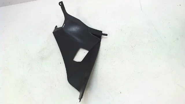RECHTER ACHTERKANT Suzuki GSX R 1000 2005 - 2006