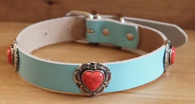Leren hondenhalsband " Rode hartjes " Licht blauw