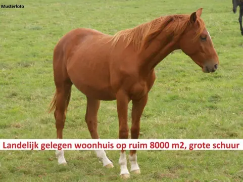 Landelijk gelegen woonhuis met schuurruimte, landerijen