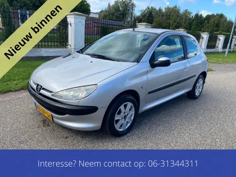 Peugeot 206 1.4 X-line nieuwe apk (bj 2003)