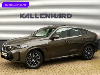 BMW X6 xDrive40i - Panoramadak - Trekhaak - Warmte Comfortpakket - Driving Assistant