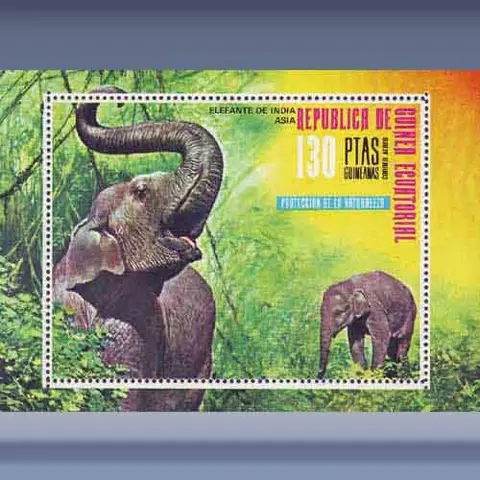 Aziatische olifant (1976)