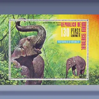 Aziatische olifant (1976)