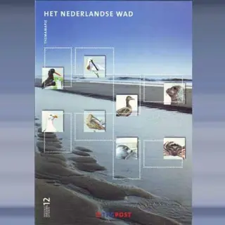 Het Nederlandse Wad (2003)