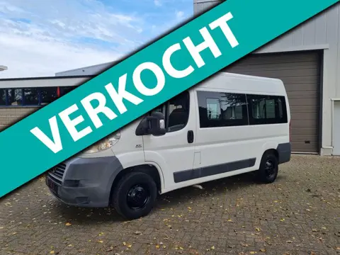 Fiat GEZOCHT GEVRAAGD ALLE DUCATO JUMPER BOXER TOPPRIJZEN