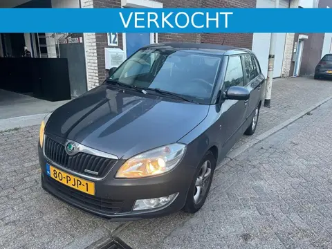 Skoda Fabia Combi 1.2 TDI Greenline NETTE FABIA APK&AIRCO&NAP