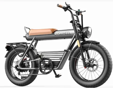 COSWHEEL CT20 Electric Bike 20*5.0'' All-terrain Tire, 750W