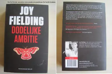 179 - Dodelijk ambitie - Joy Fielding