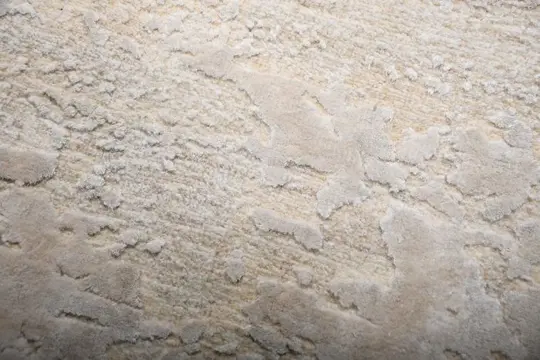 Designer Teppich - Zeer fijn tapijt met veel zijde - 306 cm