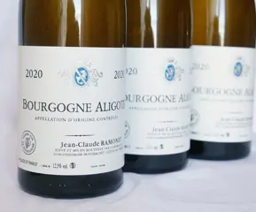 2020 Domaine Ramonet - Bourgogne Aligoté - Bourgondië - 3