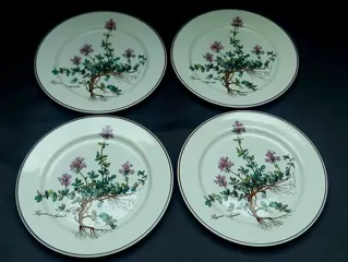 Botanica - Villeroy &amp; Boch - Dinerborden (4) - Keramiek