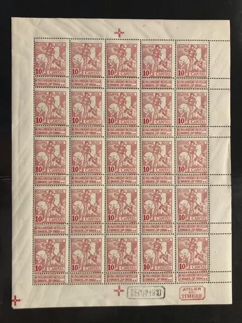 België 1910/1910 - Caritas - 10c Type Montald (gelijnde achtergrond) in VOLLEDIG VEL - POSTFRIS - OBP F87