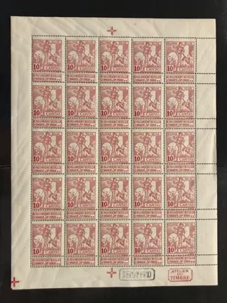 België 1910/1910 - Caritas - 10c Type Montald (gelijnde achtergrond) in VOLLEDIG VEL - POSTFRIS - OBP F87