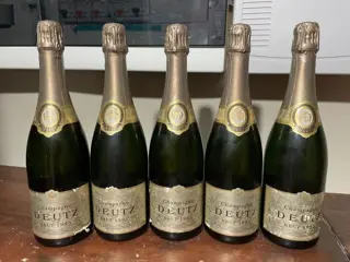 1995 Deutz - Champagne Brut - 5 Flessen (0.75 liter)