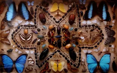 Paul Huf (1924 - 2002) - "butterflies"