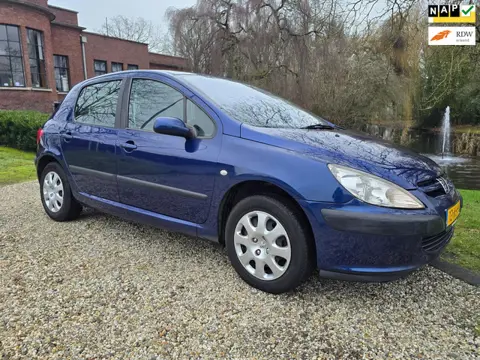 Peugeot 307 1.6-16V XS 5-deurs AUTOMAAT/airco/CRUISE