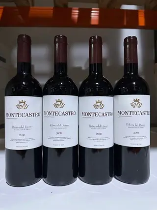 2008 Bodegas Montecastro y Llanahermosa - Ribera del Duero