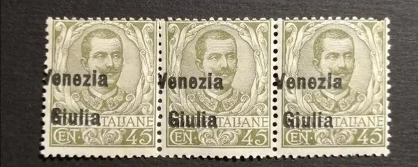 Italië - Julian Venetië 1901 - 45 cents, overprint variety - Sassone N. 26eafc