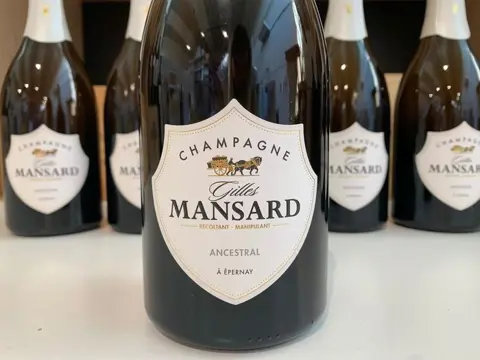 Gilles Mansard "Ancestral" - Champagne Brut - 6 Flessen