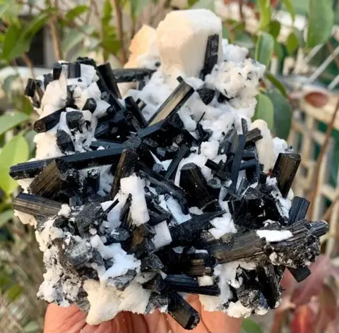 Toermalijnkristallen bos op matrix Mineralencollectie -