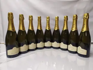 Priore, Blanc de Blancs - Franciacorta - 9 Fles (0,75 liter)