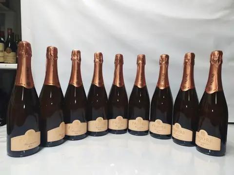 Rosé Priore Brut - Franciacorta DOCG - 9 Flessen (0.75