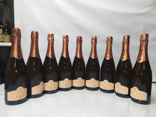 Rosé Priore Brut - Franciacorta DOCG - 9 Flessen (0.75