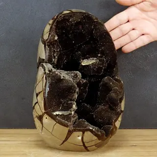 Mooie A++ Septarian Geode, met prachtige calcietkristallen