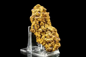 Mooie massieve natuurlijke versteende kak - compleet -