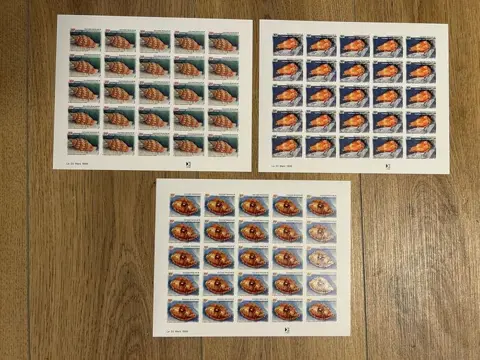 Frans-Polynesië 1996 - non dentelés - coquillages - en feuilles - neufs** - Maury n°503 à 505 x 25 exemplaires