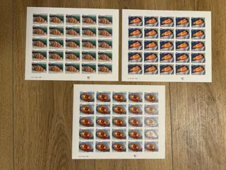 Frans-Polynesië 1996 - non dentelés - coquillages - en feuilles - neufs** - Maury n°503 à 505 x 25 exemplaires
