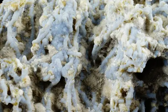 BLAUWE ARAGONIET gekke wormvormen met calciet -