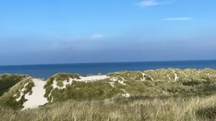 xxxxx Good Guy zoekt vrouw