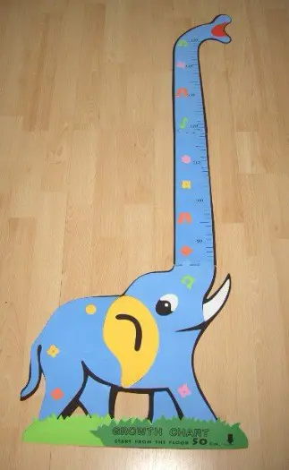 GROEIMETER OLIFANT NIEUW (levensweg)