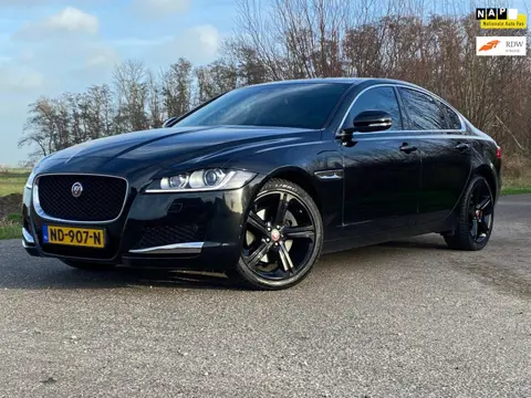 Jaguar XF 2.0 Portfolio Leder-Int NAVI CAMERA 241PK Org-NL Clima Goed Onderhouden
