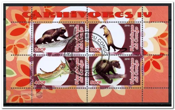 CINDERELLA: Roofdieren / Carnivores - Congo - 2010