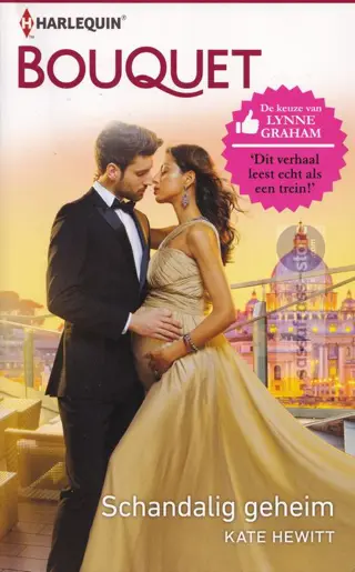 Nr. 4038: Kate Hewitt ~ Schandalig geheim