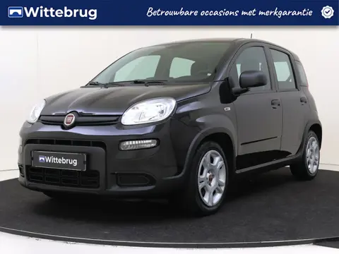 Fiat Panda 1.0 Hybrid City Cross | Airconditioning | Blue Tooth |