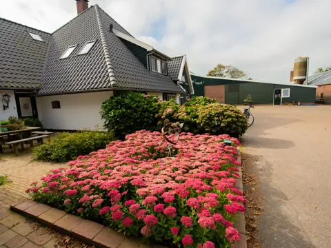 Kamperen bij een modern melkveebedrijf