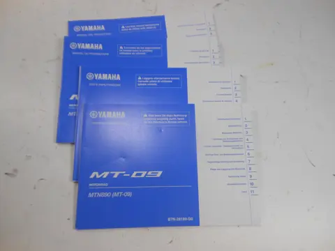 INSTRUCTIEBOEKJE Yamaha MT 09 2018 - 2020