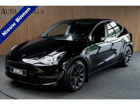 Tesla Model Y Long Range Dual Motor AWD Navi 360° Leer ACC Warmtepomp Autopilot PDC Elektr. achterkl