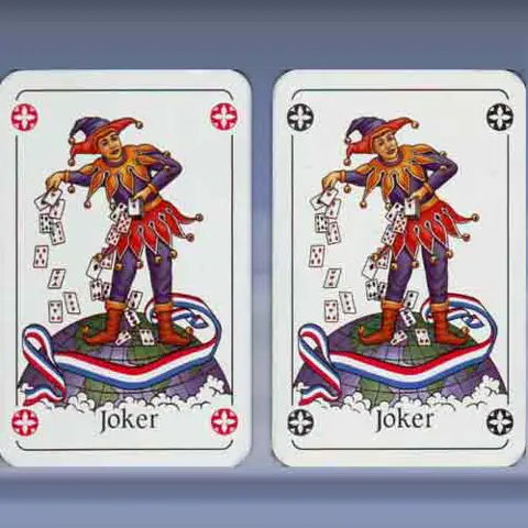 Nederlandse Bridge Bond