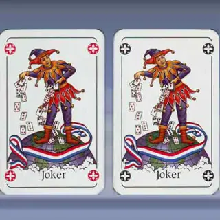 Nederlandse Bridge Bond