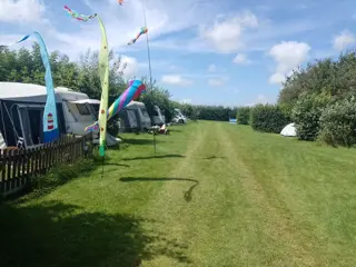 Centraal gelegen boerderijcamping met melkvee